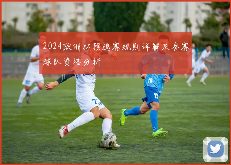 2024欧洲杯预选赛规则详解及参赛球队资格分析
